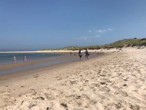 July day at Budle Bay